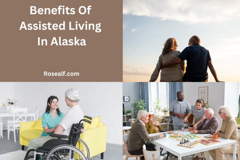 Benefits Of Assisted Living In Alaska | Rosealf